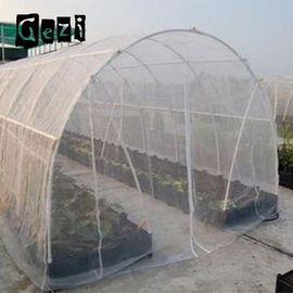 China 130gsm Hitzebeständigkeits-Insekten-Maschen-Filetarbeit für das Blockieren des Lichtes fournisseur