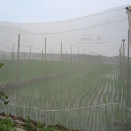China 40 Masche HDPE Insekten-Masche 100%, die nicht giftiges für Krankheits-Verhinderung fängt fournisseur