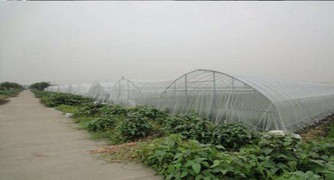 China weiße Maschen-Filetarbeit des Insekten-45gsm für Antibienen-landwirtschaftliches Gewächshaus fournisseur