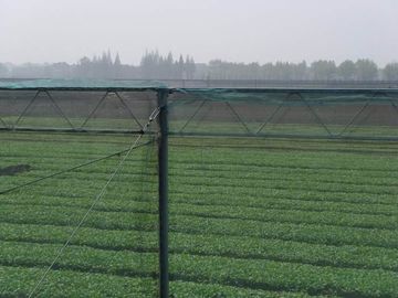 China 250 der HDPE Insekten-Maschen-Meter Filetarbeits-100% für das Gemüsegewächshaus landwirtschaftlich fournisseur