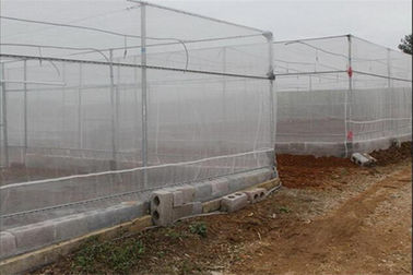 China Ein führender Hersteller und ein Einzelhändler von Ernte-Input-Produkten, Pflanzenschutz-Filetarbeit, Landwirtschaft schützen Abdeckungs-Netze fournisseur