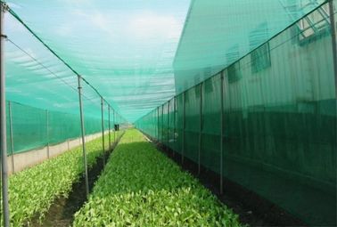 China Kundengebundene Insekten-Maschen-Filetarbeit im Sämling - Porosität des anhebenden Prozess-48% fournisseur