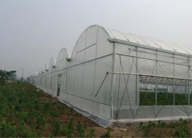 China Einfach installieren Sie landwirtschaftliche Insekten-Filetarbeit, Antihagel-Filetarbeit für Gewächshaus fournisseur