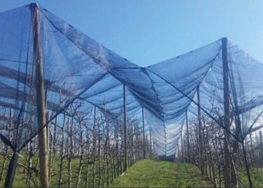 China UV-BEHANDELTer Jungfrau HDPE Insekten-Maschen-Netzstoff 15 Jahre Garantie- fournisseur