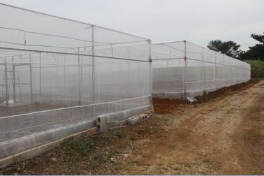 China Polyäthylen-mit hoher Dichte Einzelfaden spinnt Antiinsekten-Netze für Gewächshaus fournisseur