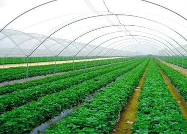 China Leichte Garten-Insekten-Maschen-Filetarbeit, Moskito-Filetarbeit im Freien fournisseur