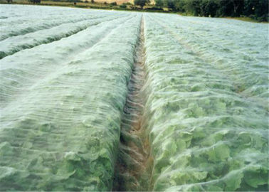 China Landwirtschaftliches Gewächshaus-weißes Fliegengitter, das Antiblattlaus für Gemüse fängt fournisseur