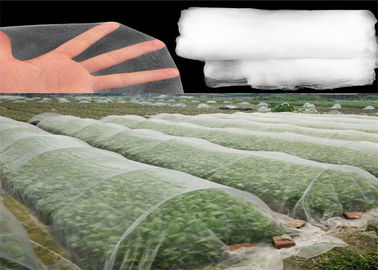 China HDPE-materielle Insekten-Masche, die weiße Farbe für junge Gemüseernten fängt fournisseur