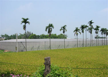 China Landwirtschaftliches Antihagel-Filetarbeits-Garten-Netz-Vogel-Hagel-Netz für schützende Betriebsernten fournisseur