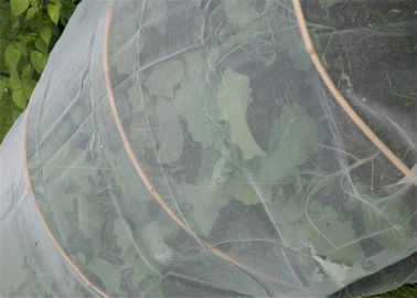 China Landwirtschaftliche Netn-Ernte-Gemüseschutz-Netz für Apfelbaum-Schutz-Filetarbeit fournisseur