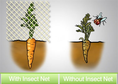 China Anwendung des Insekts fängt den Gebrauch von insektensicheren Netzen, Sperren künstlich zu konstruieren, um das Vorkommen zu verringern fournisseur