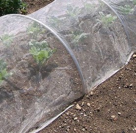 China Landwirtschaftliche Gewächshaus-Antiplastikblattlaus-weißes Fliegen-Insekten-Netz für Gemüseschutz fournisseur