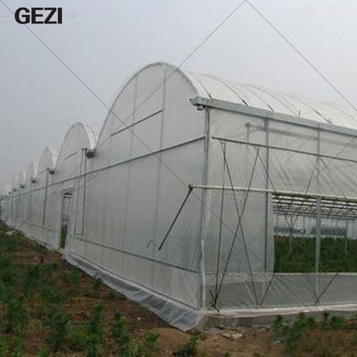 China Gezi feiner Mesh Insect Protection Net für Garten, Gewächshaus, Anlagen, Frucht, Blumen, Ernten, Repellent fournisseur