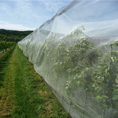 China HDPE beständige UVfiletarbeits-Antihagel für die Landwirtschaft und Gardenning fournisseur