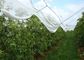 Soem-Hagel-Beweis-Gewächshaus-landwirtschaftliche Antihagel-Netze für Apfelbäume fournisseur