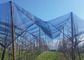 Garten-Gewächshaus-Moskito-Filetarbeits-Klima fängt im Freien UV stabilisiert für langes Leben fournisseur