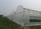 250 der HDPE Insekten-Maschen-Meter Filetarbeits-100% für das Gemüsegewächshaus landwirtschaftlich fournisseur