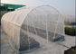 Hohe der Wirksamkeits-80gsm leichte Breite Insekten-Fenster-des Netz-30 der Maschen-3m fournisseur