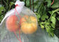PET Frucht-Retter Drawsting-Frucht schützen Taschen-Insekt, Maschen-Filetarbeits-Taschen-, dieblume sich schützen fournisseur