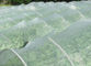Gewächshaus-Antiinsekten-Masche, die reine HDPE 50 Masche 120 G-/Minsektenschutzgitter-Masche fängt fournisseur