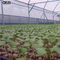 Gezi-Insekten-Netz-Garten feiner Mesh Tunnel Grow Insect Net für Gemüse tragen Anlagen 10 x 2,4 M Vegetable Protection Net Früchte fournisseur