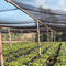 Sonnenschutzschirm HDPE des Sonnenschutzpflanzenkleidsonnenschutz-Segelgewebe UVschutzes dauerhaften äußeres fournisseur