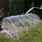 Insekten-Vogel-Sperren-Netz mit dem Zugschnur-Garten-Insekten-Netz-Pflanzenkleid benutzt, um Betriebsfrüchte und -blumen zu schützen fournisseur