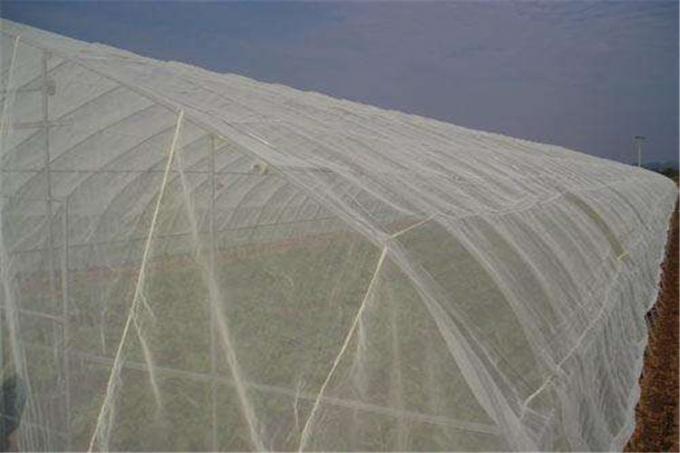 Anti- Blattlaus-Insekten-Masche, die Masche 50*25 HDPE Materialien 100% fängt