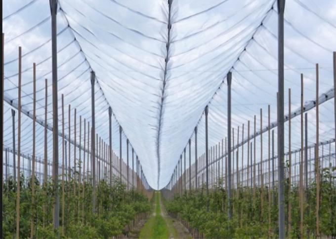 Soem-Hagel-Beweis-Gewächshaus-landwirtschaftliche Antihagel-Netze für Apfelbäume