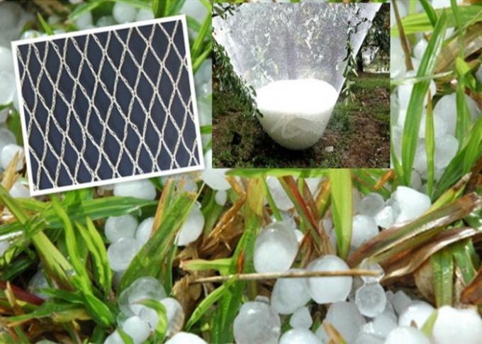 Dauerhaftes HDPE Plastikinsekten-Maschen-Filetarbeit für Ernte geschädigten Schutz