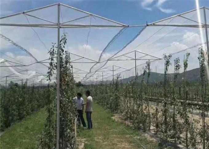 Landwirtschaftlicher Schutz mit UVnettoobstgarten-Insekten-Maschen-Filetarbeit und Antihagel für Apfelbäume