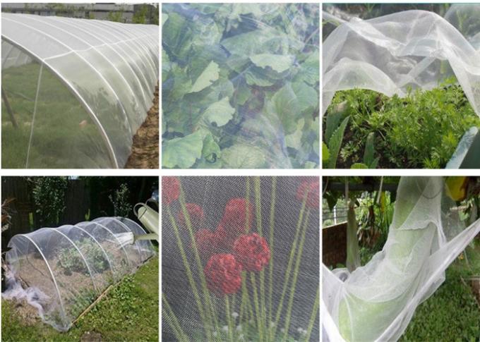 Landwirtschaftlicher Garten-Ernte-Insekten-Maschen-Filetarbeits-Gemüse-Blumen-Frucht-Abdeckungs-Insekten-Beweis