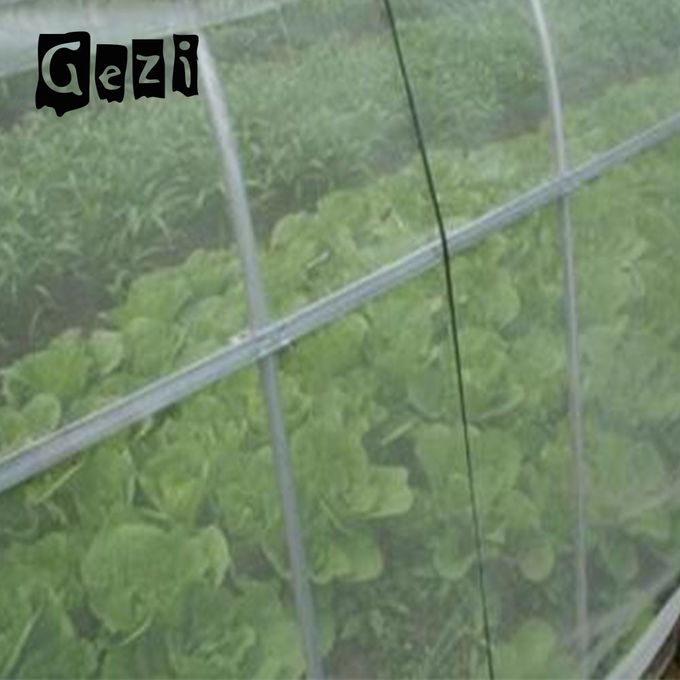 Gewohnheits-Farbe 100% HDPE Insekten-Schutz-Masche ISO 9001 für Gemüse