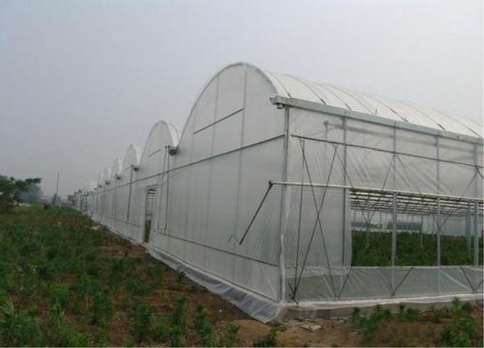 Landwirtschaftliches 60 Maschen-Insekten-Beweis-Garten-Filetarbeit HDPE Plastik