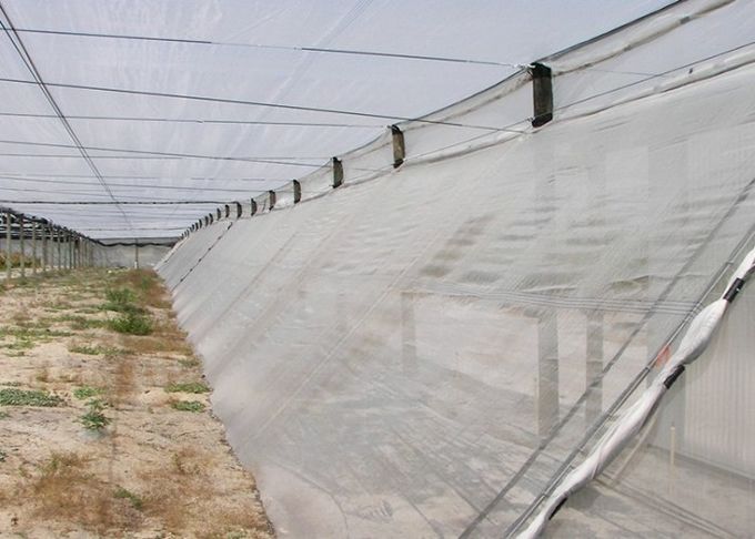 HDPE 4x50m Insekten-Maschen-Filetarbeit 100% für Gewächshaus-Kindertagesstätte/landwirtschaftliches