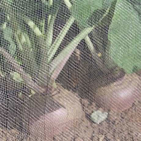 Verzerrung strickte 1.3mm Insekten-Schutz-Masche, Leben des Moskito-Netz-Schirm-3-10 Yeares