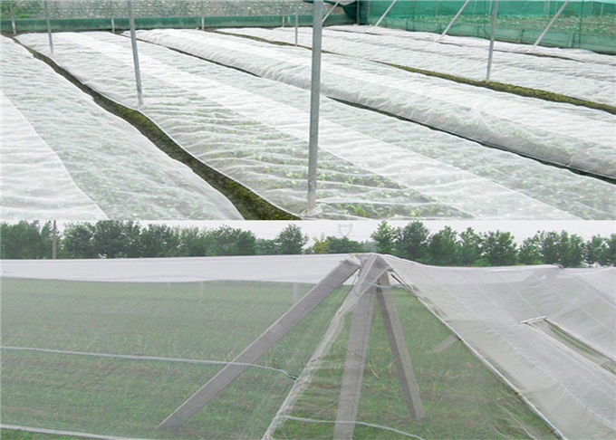 Wasserbeständigkeits-Moskito-Filetarbeit im Freien, 1,3 * 1.3mm kleine Hallen-Fliegen-Insektenschutzgitter-Masche
