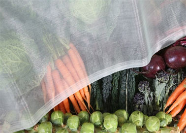 China 1,35 x 1,35 Millimeter-Maschen-Loch-Plastikinsekten-Masche für Gemüsefrucht-Schutz fournisseur
