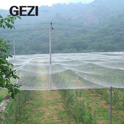 China 32 Maschenantiinsektennetz-Gartennetze, Plagesperren, zum der Früchte der Gartenpflanzen vor Vogelplagen, Anlage zu schützen sich zu schützen fournisseur