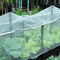 Antiinsekten-Blattlaus-Taufliegen-Frucht-Fliegen-Schutznettohdpe Mesh Fabric für Garten-Gemüseabdeckungs-Filetarbeits-Fabrik fournisseur