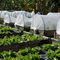 Garteninsektenlandwirtschaftsinsektenprüfendes Nettogewächshaus-Landwirtschaftsnetz Größe Nettozeltabdeckung HDPE materielles kundengebundenes fournisseur