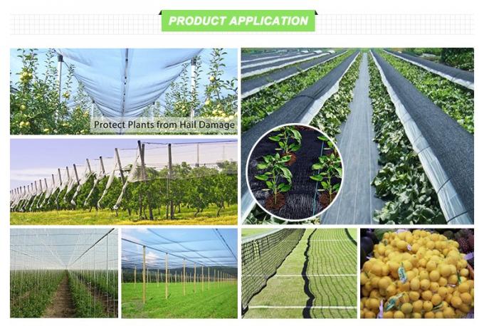 Hochleistungs-Antihagel-Filetarbeits-Rollen-/Hagel-Schutz-Netz für Obst und Gemüse